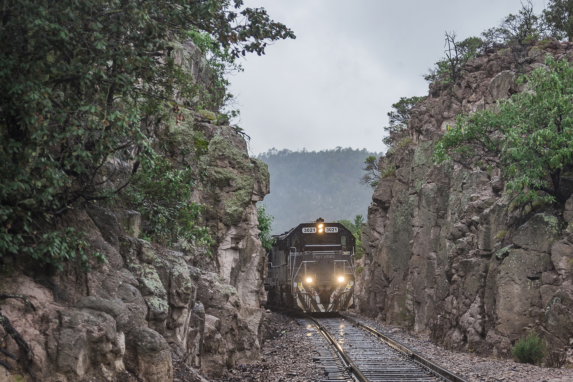El tren Chepe